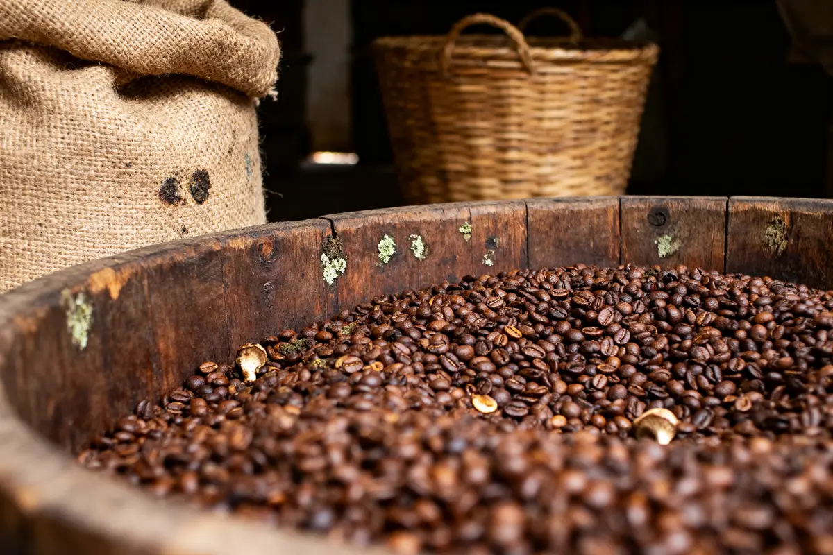 Café Grand Cru : Qu’est-ce que c’est et Comment choisir ?