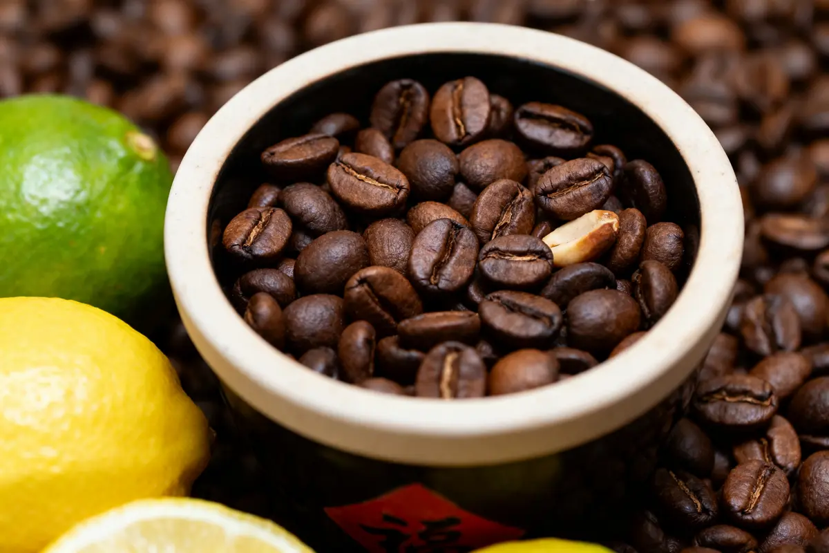 Moka Sidamo : Découvrez le café arabe bio équitable