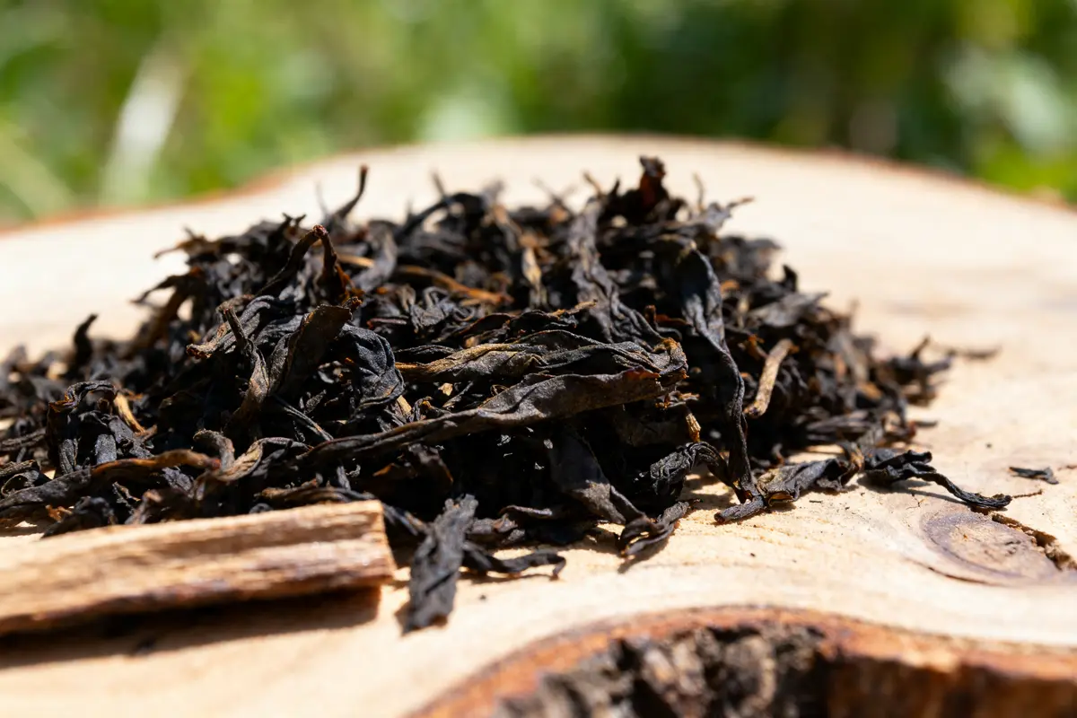 Tarry souchong : thé noir fumé intense de Chine à découvrir