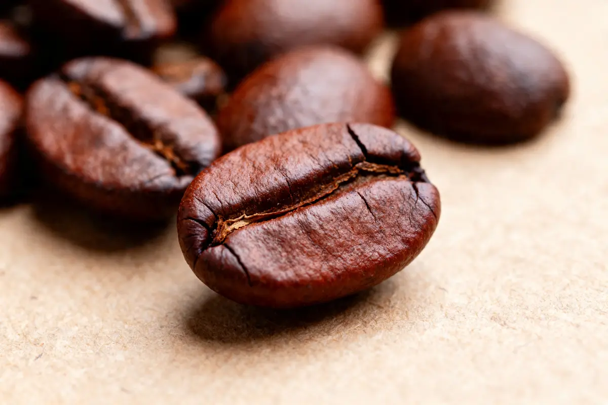 Torréfié : tout savoir sur le café, ses types et secrets